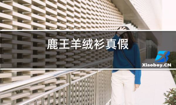 鹿王羊绒衫真假图片