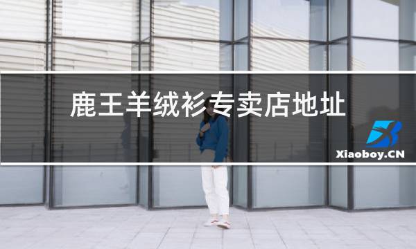 鹿王羊绒衫专卖店地址图片