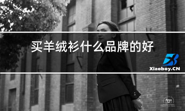 买羊绒衫什么品牌的好图片