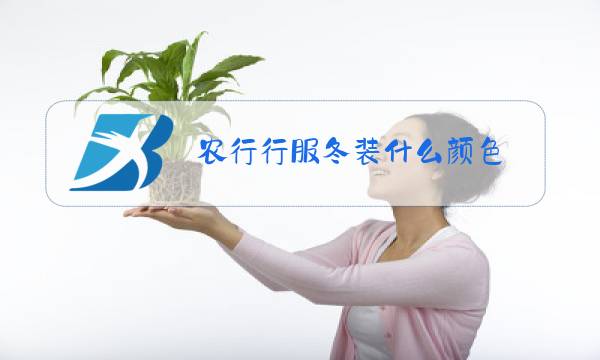 农行行服冬装什么颜色图片