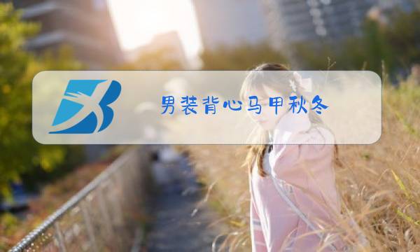 男装背心马甲秋冬图片