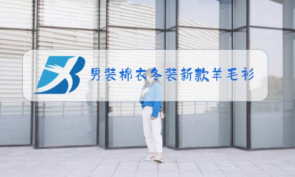 男装棉衣冬装新款羊毛衫图片
