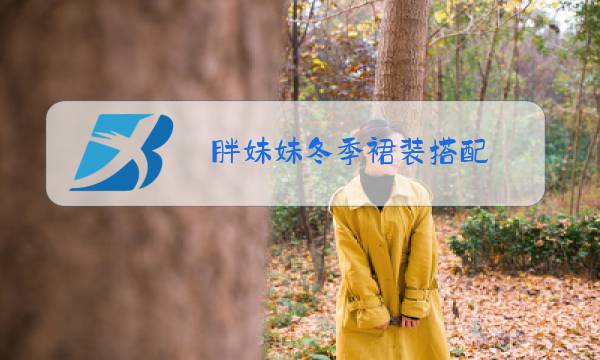 胖妹妹冬季裙装搭配图片
