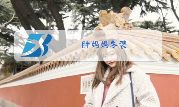 胖妈妈冬装图片