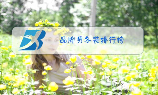 品牌男冬装排行榜图片