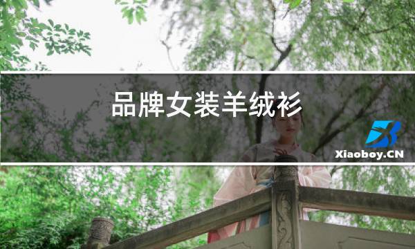 品牌女装羊绒衫图片