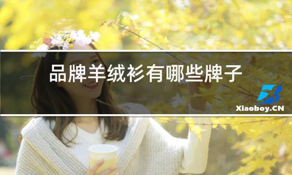 品牌羊绒衫有哪些牌子图片