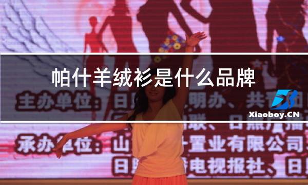帕什羊绒衫是什么品牌图片