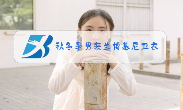 秋冬季男装兰博基尼卫衣运动套装图片