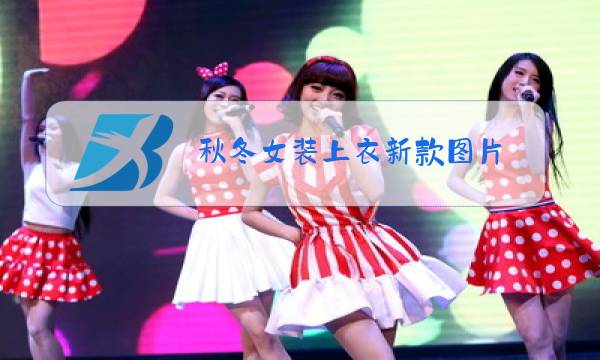秋冬女装上衣新款图片图片