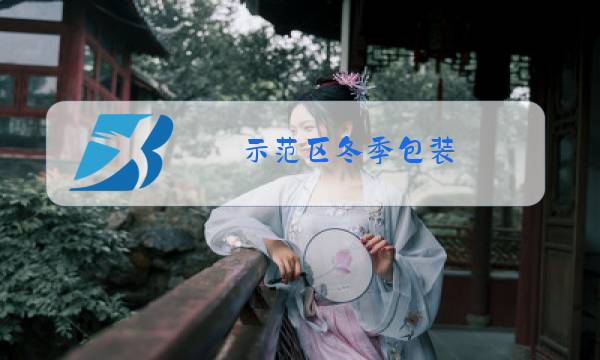 示范区冬季包装图片