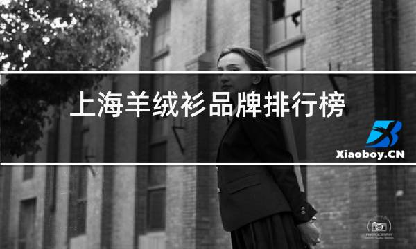 上海羊绒衫品牌排行榜图片