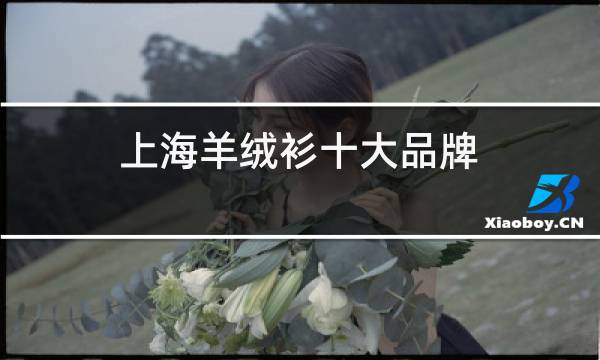 上海羊绒衫十大品牌图片