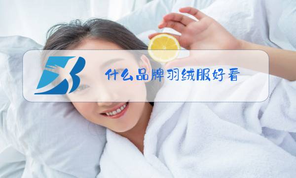 什么品牌羽绒服好看图片
