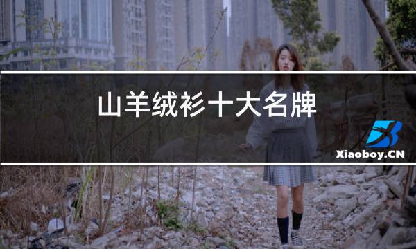 山羊绒衫十大名牌图片