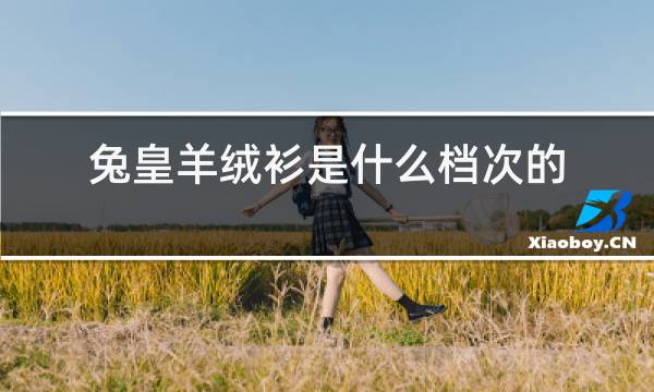 兔皇羊绒衫是什么档次的牌子图片