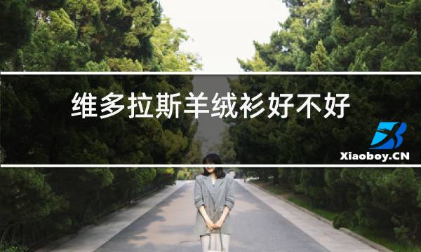 维多拉斯羊绒衫好不好图片