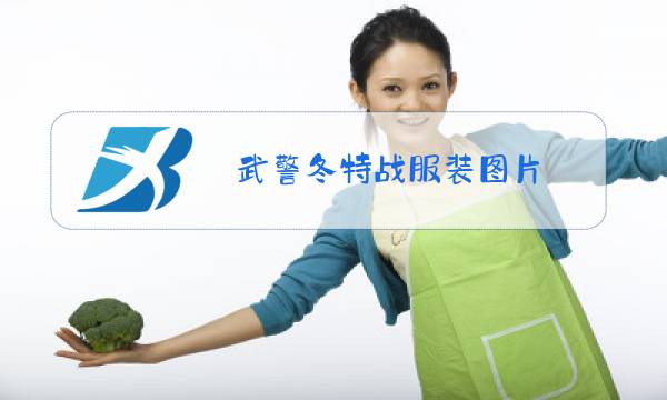 武警冬特战服装图片图片