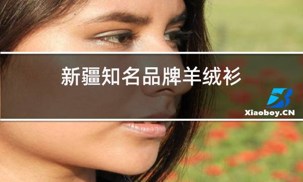 新疆知名品牌羊绒衫图片