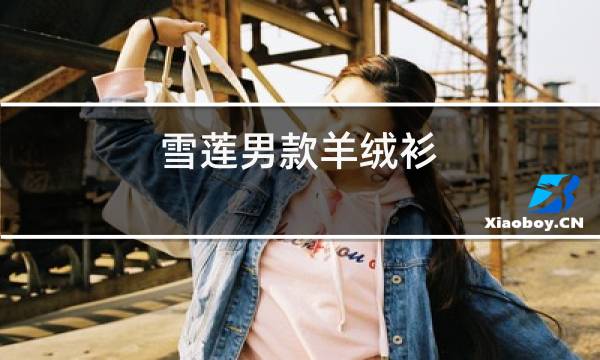 雪莲男款羊绒衫图片