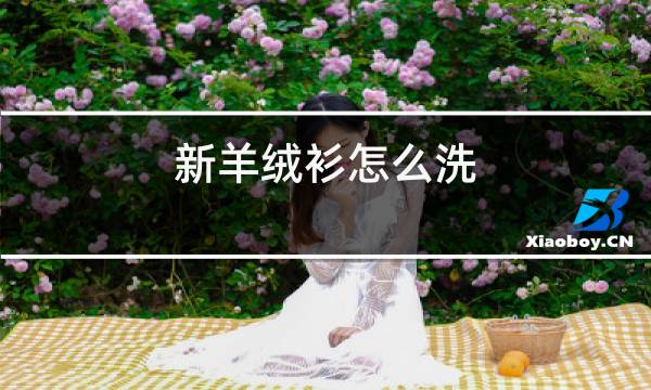 新羊绒衫怎么洗图片