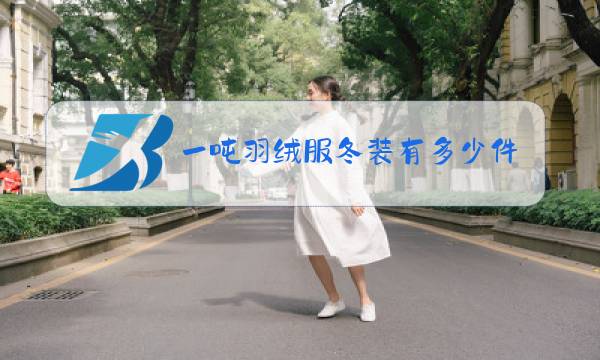 一吨羽绒服冬装有多少件图片