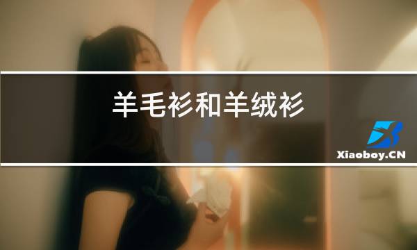 羊毛衫和羊绒衫图片