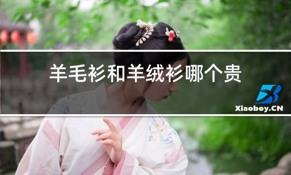 羊毛衫和羊绒衫哪个贵图片