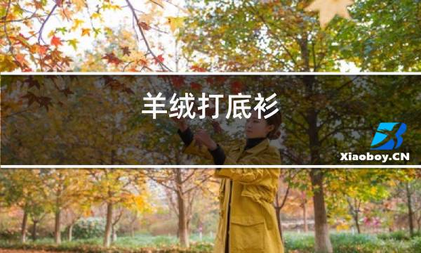 羊绒打底衫图片