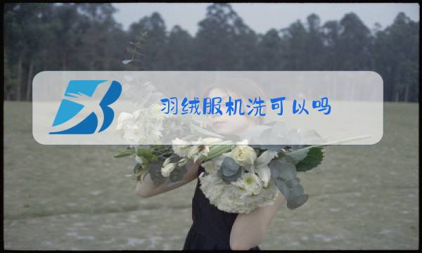 羽绒服机洗可以吗图片