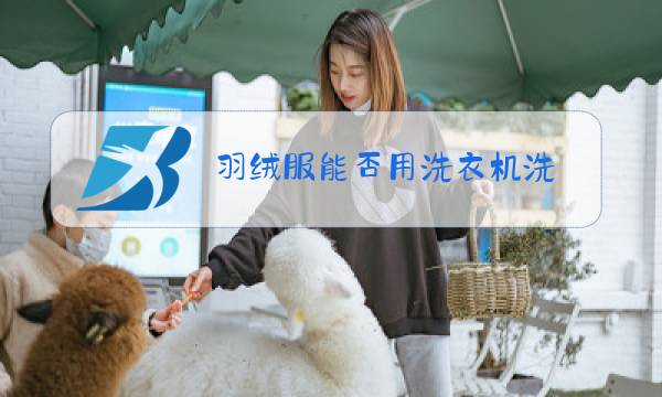 羽绒服能否用洗衣机洗图片
