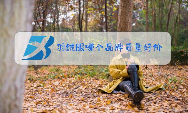 羽绒服哪个品牌质量好价格便宜图片