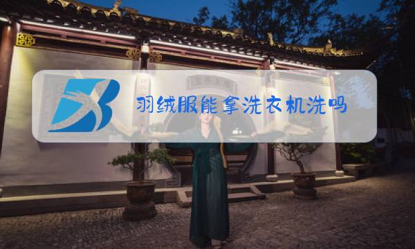 羽绒服能拿洗衣机洗吗图片