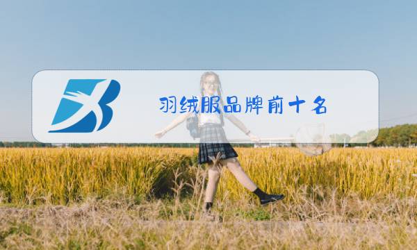 羽绒服品牌前十名图片