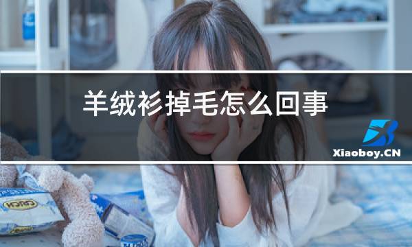 羊绒衫掉毛怎么回事图片