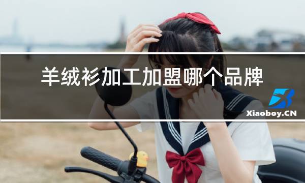 羊绒衫加工加盟哪个品牌好图片