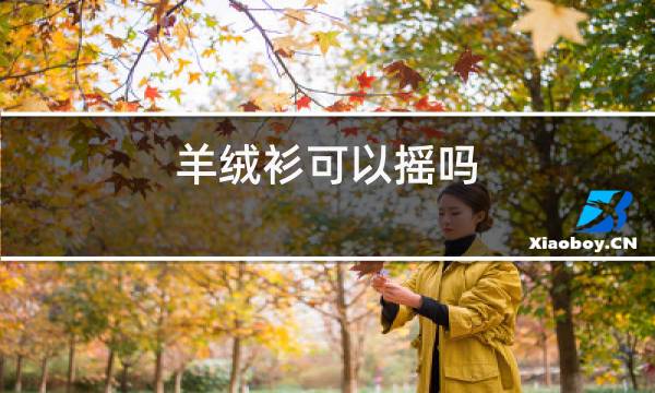 羊绒衫可以摇吗图片