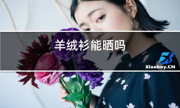 羊绒衫能晒吗图片