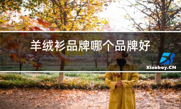羊绒衫品牌哪个品牌好图片