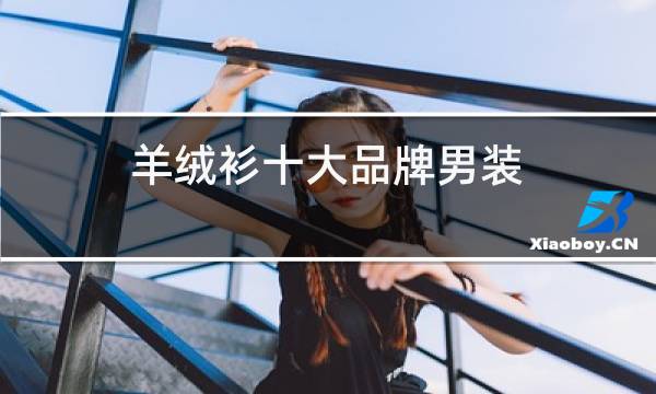 羊绒衫十大品牌男装图片