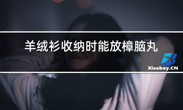 羊绒衫收纳时能放樟脑丸吗图片