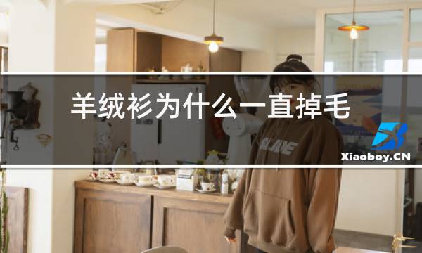羊绒衫为什么一直掉毛图片