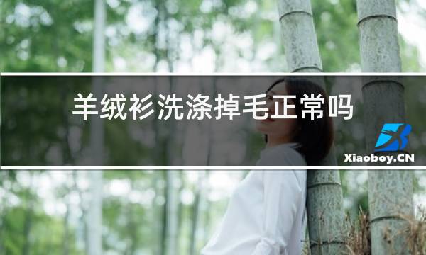 羊绒衫洗涤掉毛正常吗图片