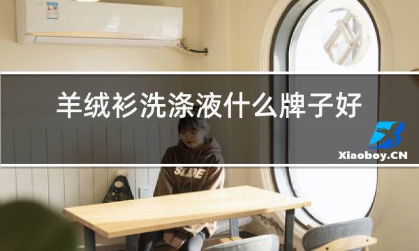 羊绒衫洗涤液什么牌子好图片