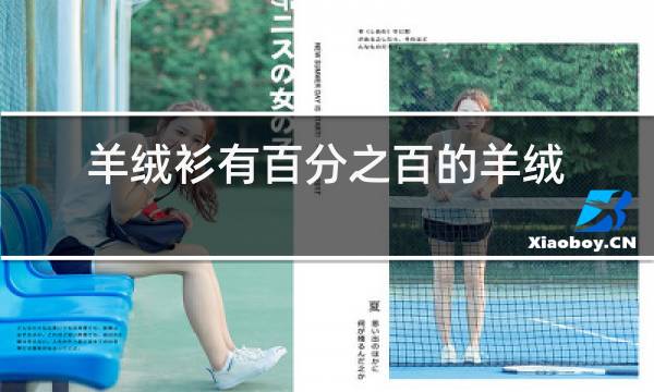 羊绒衫有百分之百的羊绒吗图片