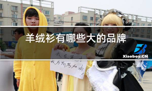 羊绒衫有哪些大的品牌图片