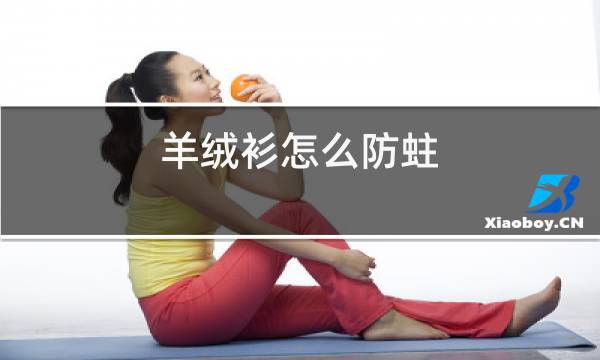 羊绒衫怎么防蛀图片