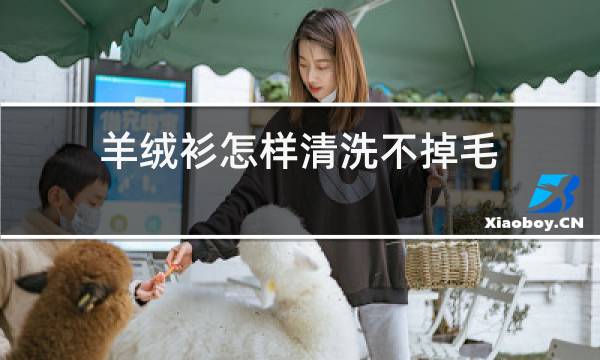 羊绒衫怎样清洗不掉毛图片