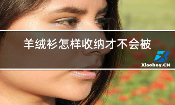 羊绒衫怎样收纳才不会被虫蛀图片