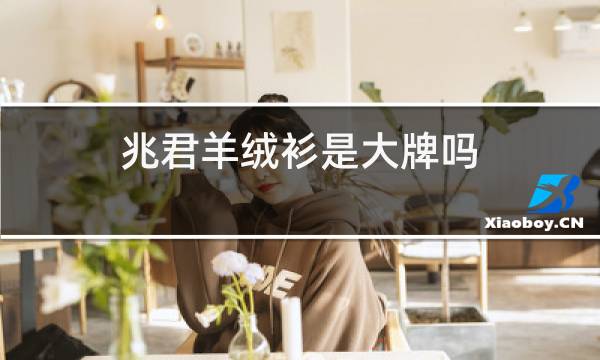 兆君羊绒衫是大牌吗图片